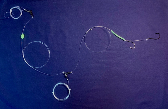 Drone Rig Livebait Double Snelled Rig