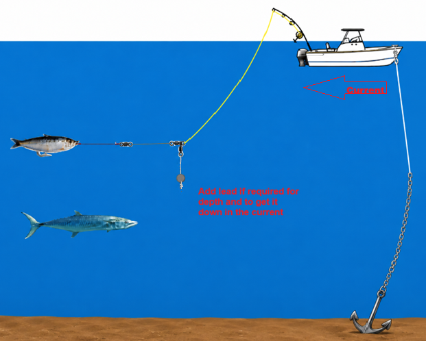 Spanish Makerel Rig 8/0 VMC Spanish Mackerel Ultimate Wire Float line Rig – Rigged N Ready ...